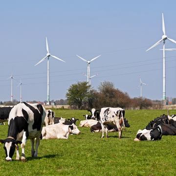 East frisia 1302894 east frisia 1302894