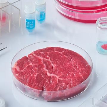 Israel Lab Meat Lab-grown meat’s promise for cutting climate warming depends on an ...