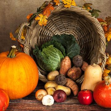 Pumpkin 1768857 pumpkin 1768857